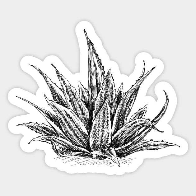 Aloe Vera Botanical Art Sticker by rachelsfinelines